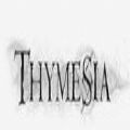 Thymesia记忆边境破解版