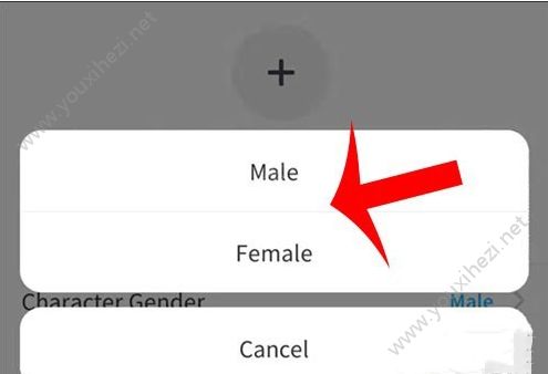 《zepeto》可以更换性别吗？设置性别与更改性别图文一览[多图]图片1