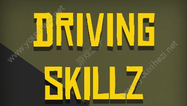 Driving Skillz送金币安卓版图片1