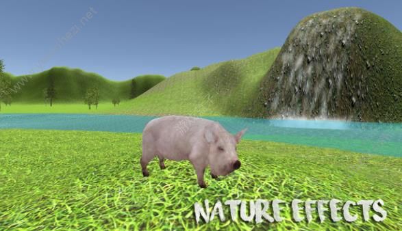 小猪模拟器手机下载中文版(Pig Simulator)图4: