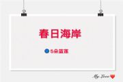 创造与魔法新版本赤城红蓝莲坐标汇总分享[多图]