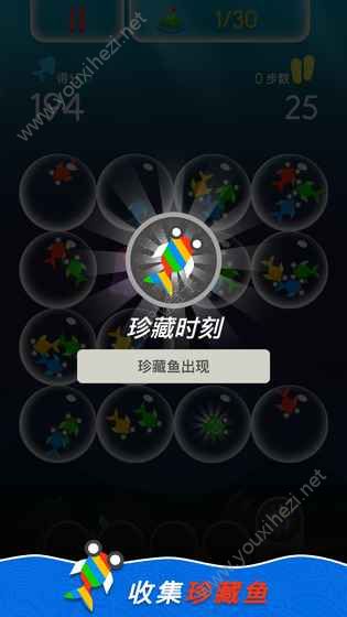 泡泡鱼游戏最新版图2: