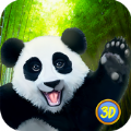 熊猫家族模拟器汉化内购破解版下载（Panda Family） v1.0