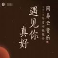 网易云2018年度听歌报告官方版