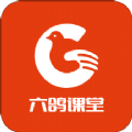 六鸽课堂APP