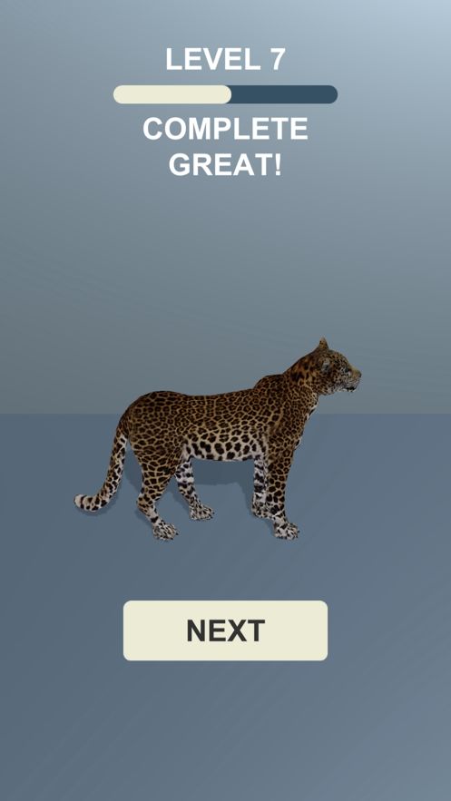 Animal Painter 3D游戏中文版下载图片1