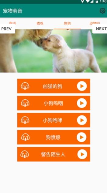 宠物萌音APP官方手机版下载图2: