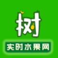 拼个树APP