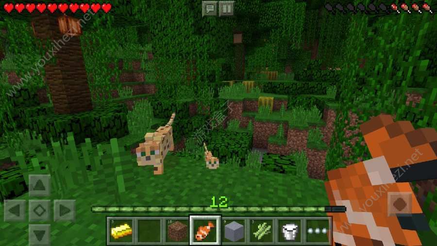 Minecraft pe1.0.10.4国际版更新安装包手机下载图2: