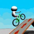 Bicycle Race 3D手机版