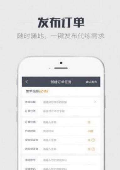 代练王者APP官网版下载图片2