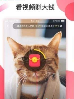 趣淘短视频APP安卓版图3: