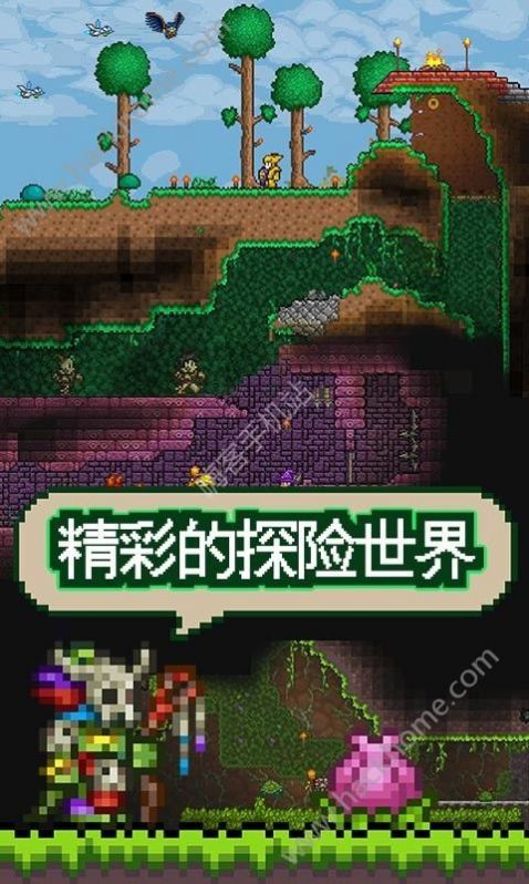 泰拉瑞亚（Terraria）1.4pe国际版中文汉化版图5: