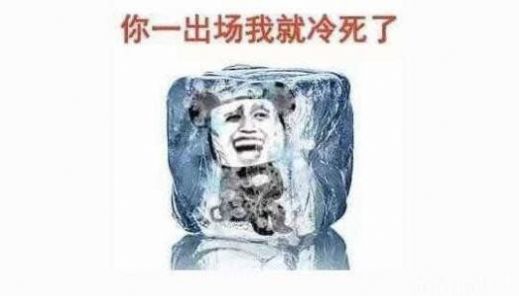 天这么冷把我的气质都冻没了图片表情包带字图4: