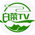 白菜TV授权码官网