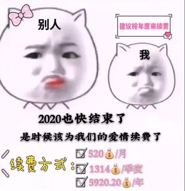 2020也快结束了是时候该为我们的爱情续费了表情包图2