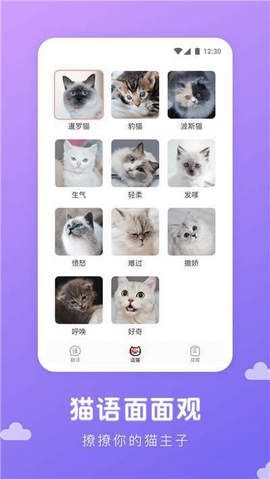 猫语翻译君APP手机版下载图片2