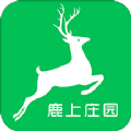 鹿上庄园APP