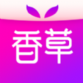 香草社交APP