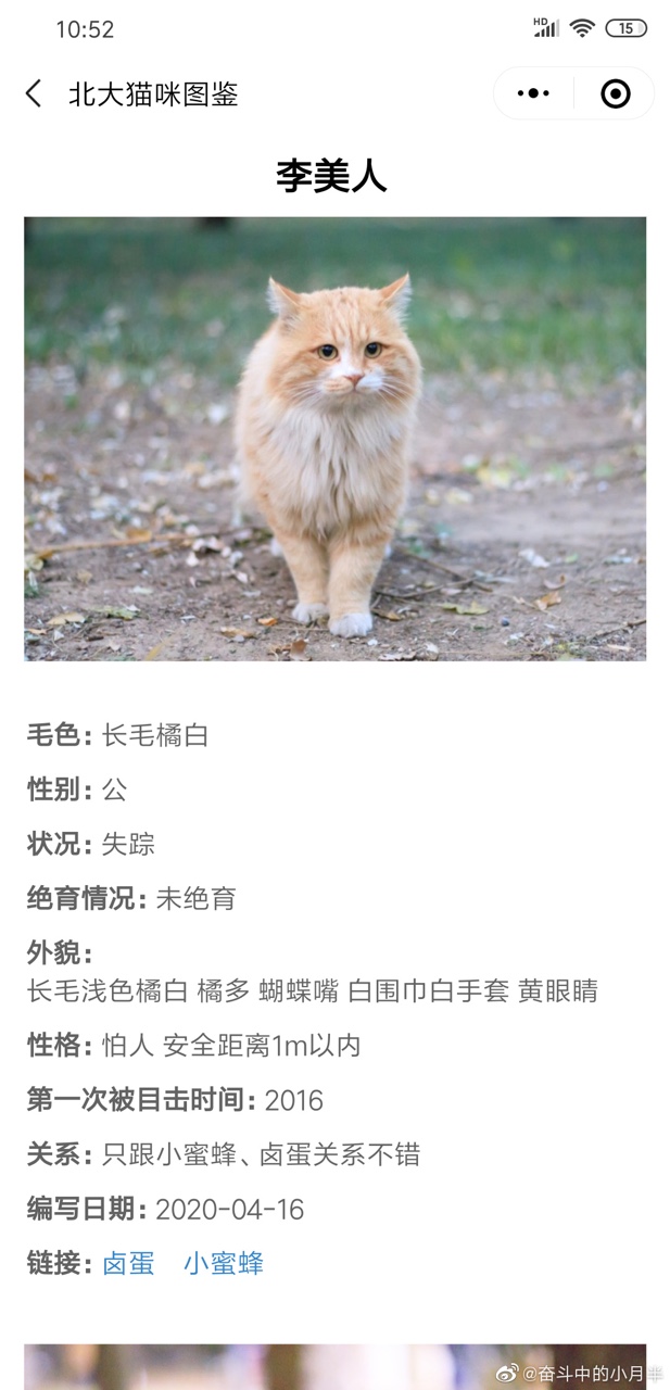 微博北大猫咪图鉴APP手机版小游戏图1: