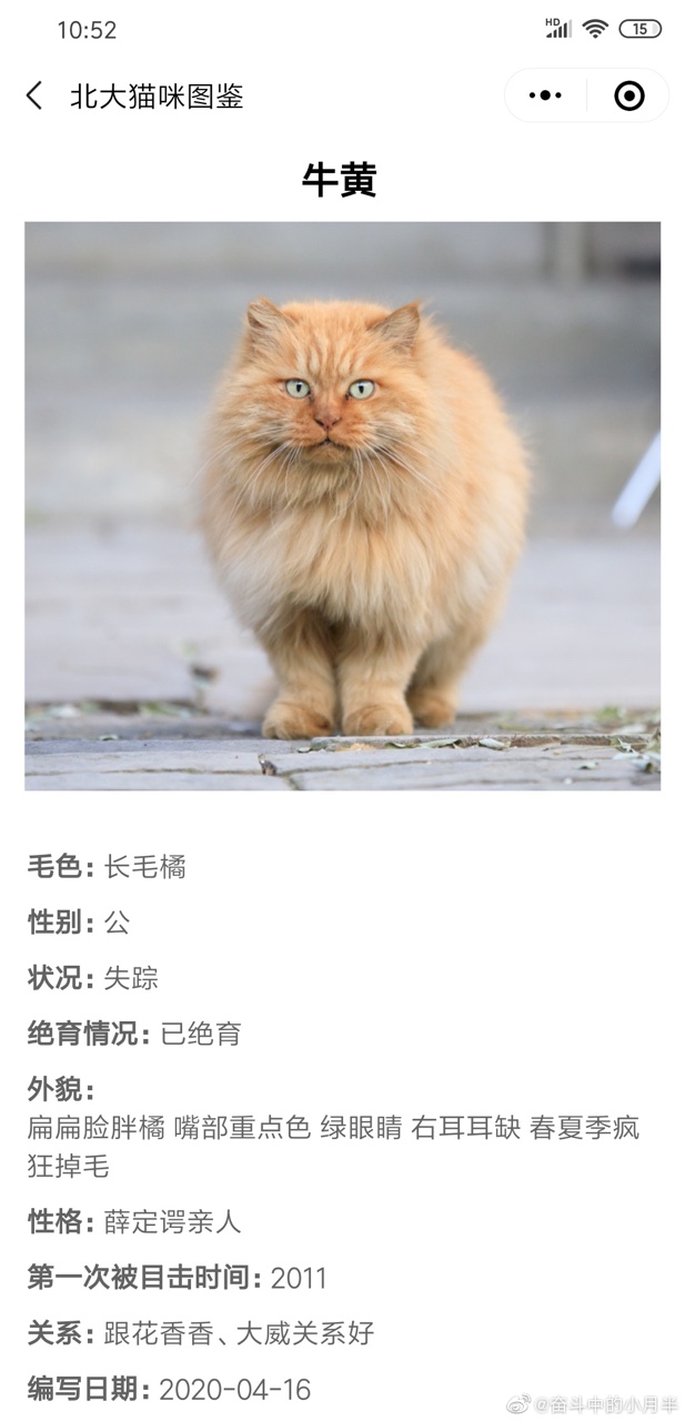 微博北大猫咪图鉴APP手机版小游戏图2: