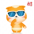 可爱的小奶猫app