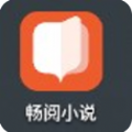 畅阅小说无限阅币版