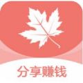 枫叶网APP