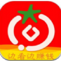 番茄看点APP