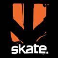 Skate Evaluation游戏