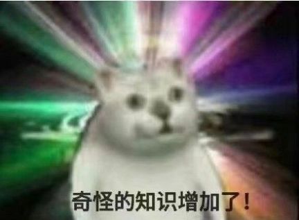 抖音小猫蹦迪表情包无水印动态图下载图1: