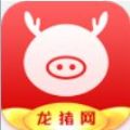 龙猪网APP