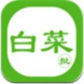 白菜批车app