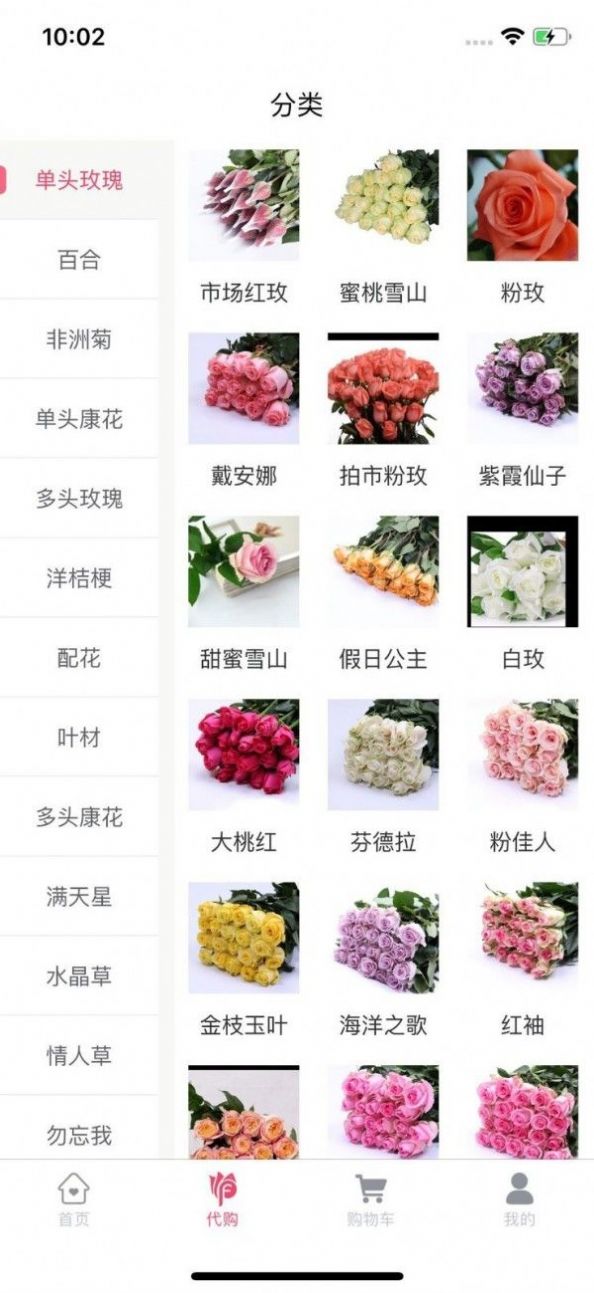 嘉佳花卉手机版下载图1: