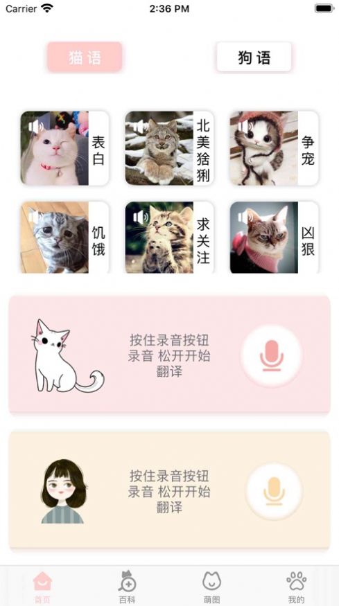 猫狗交流器官方版app图2: