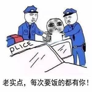 乞讨和上班的区别是什么？乞讨和上班的区别恶搞表情包分享图片5