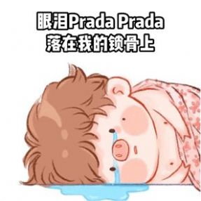 Prada的眼泪PradaPrada地掉表情包图2