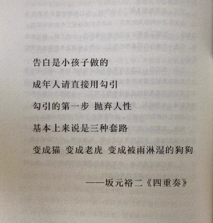 猫,老虎,被雨淋湿的狗狗是什么意思？猫老虎被雨淋湿的狗狗出处含义表情包分享[多图]图片2