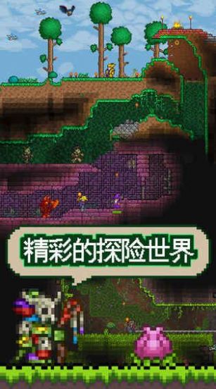 泰拉瑞亚RPG版2.2最新官方版下载图2: