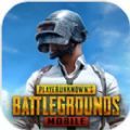 pubg mobile国际服安卓下载 app