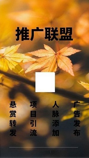 推广联盟APP图2