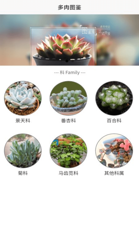 潮句多肉植物汇app官方免费版图1: