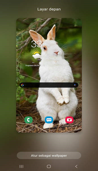 新兔子壁纸高清图片APP手机版（New Rabbit wallpaper）图4: