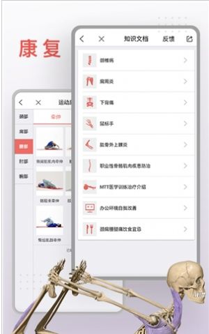 运动功能解刨教学系统app图2
