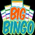 Big Bingo游戏