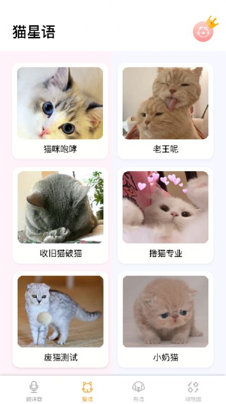 猫语翻译大师app图1