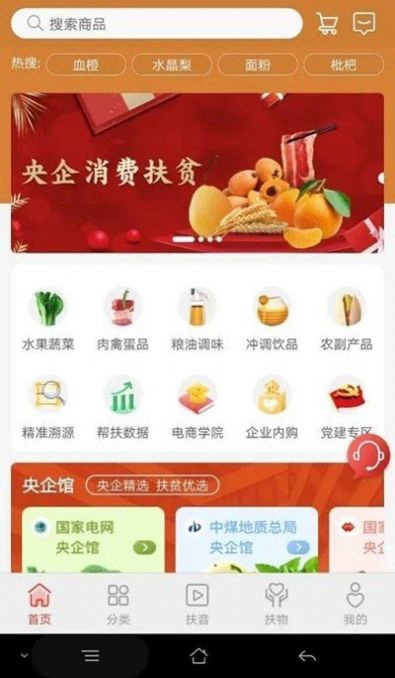 央企消费扶贫电商平台官网app免费版图3