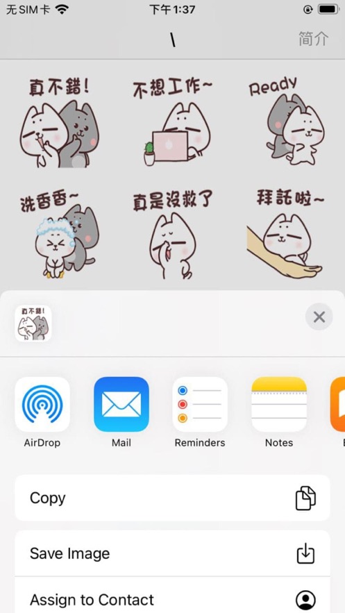 灰灰和白白APP图3