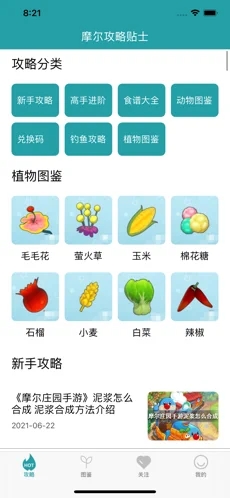 摩尔攻略贴士app手机免费版图1: