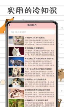 小猫交流器app下载安装图1: